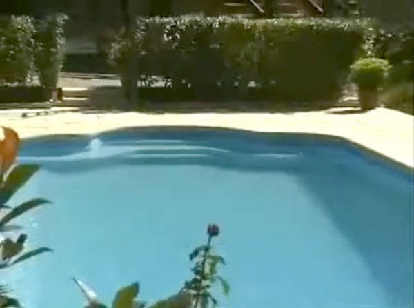 Grande piscine coque haut de gamme 10 par 4m avec escalier roman